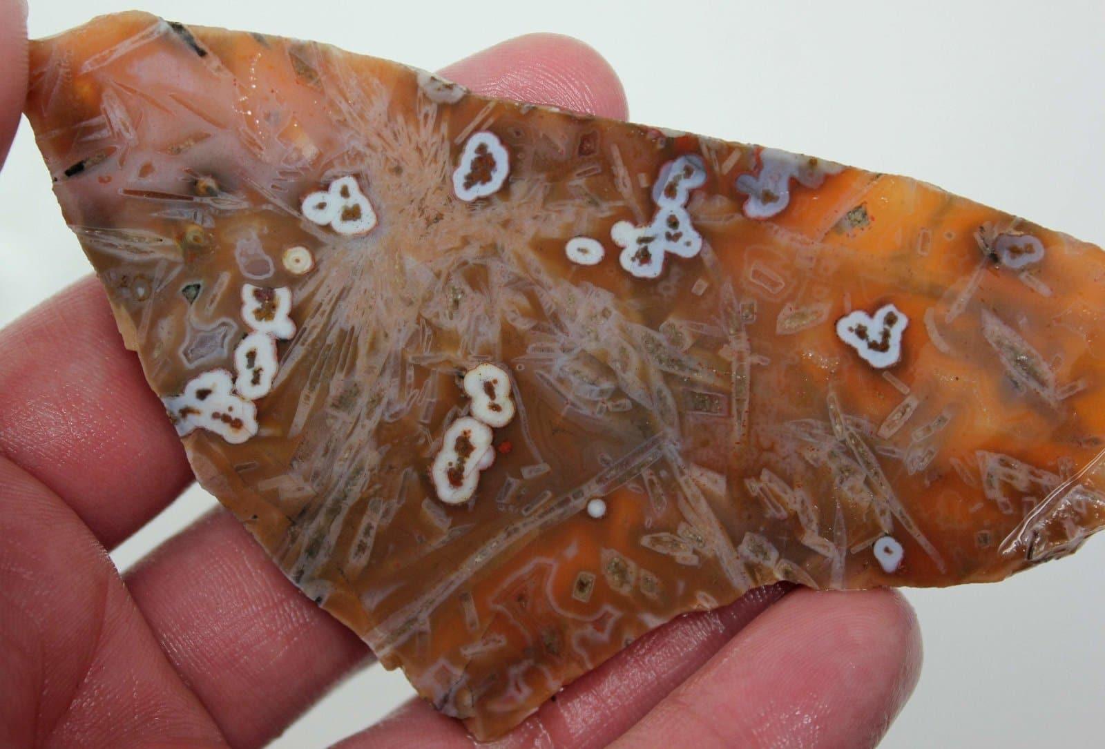 Apple Valley Agate Gorgeous Christmas Ice Sickle Slab! - LapidaryCentral