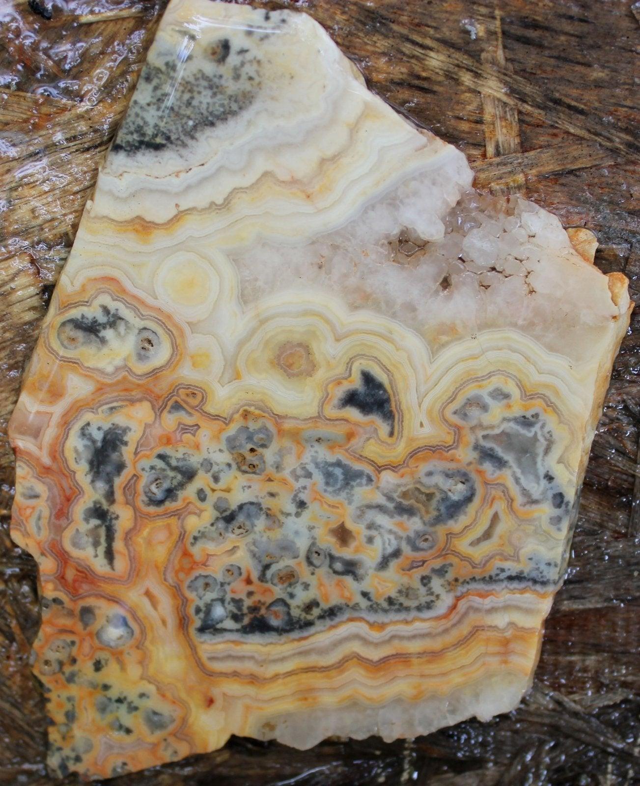 RARE Australian Crazy Lace Slab! - LapidaryCentral