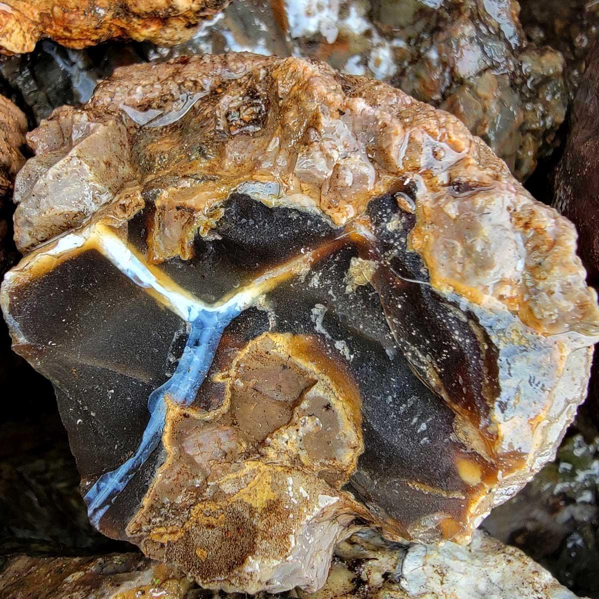 Old Stock Oregon Thunderegg Rough Flatrate Box! - LapidaryCentral