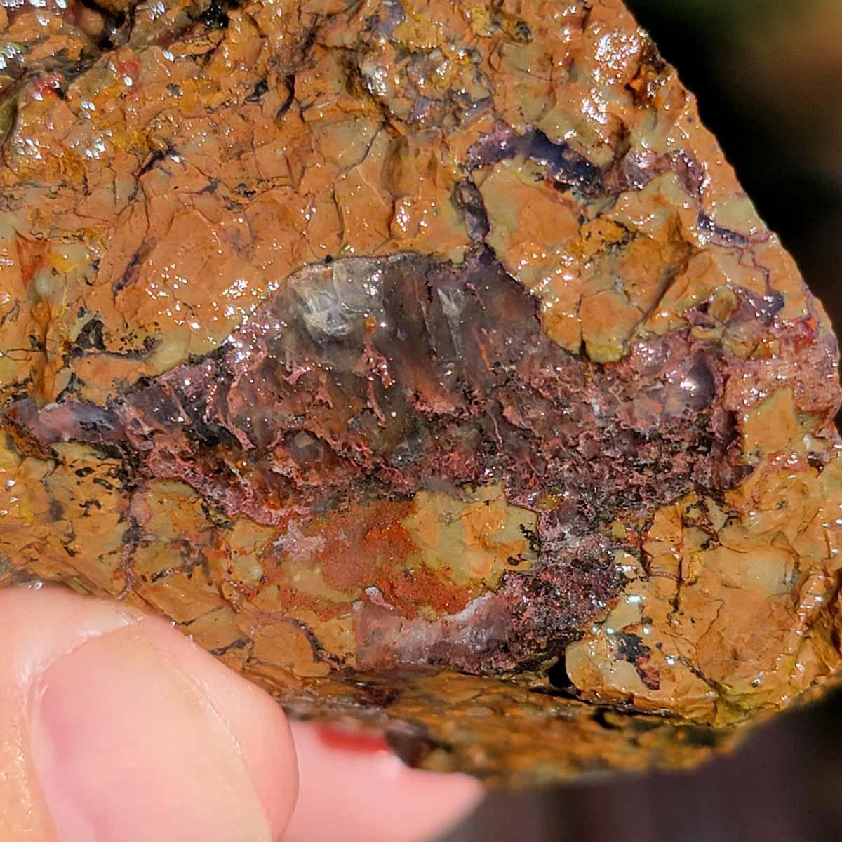 Old Stock Oregon Thunderegg Rough Flatrate Box! - LapidaryCentral