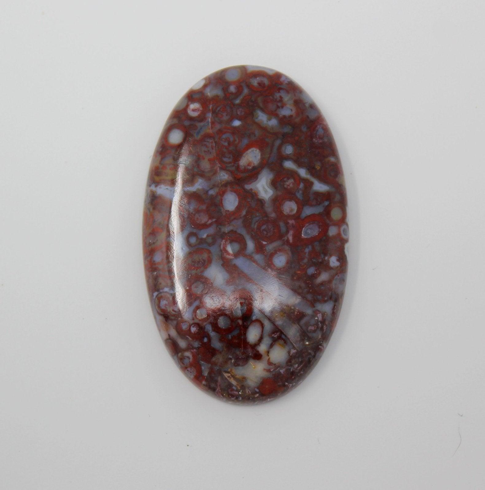 Indonesian Palm Root Cabochon! Polished Oval Cab!1