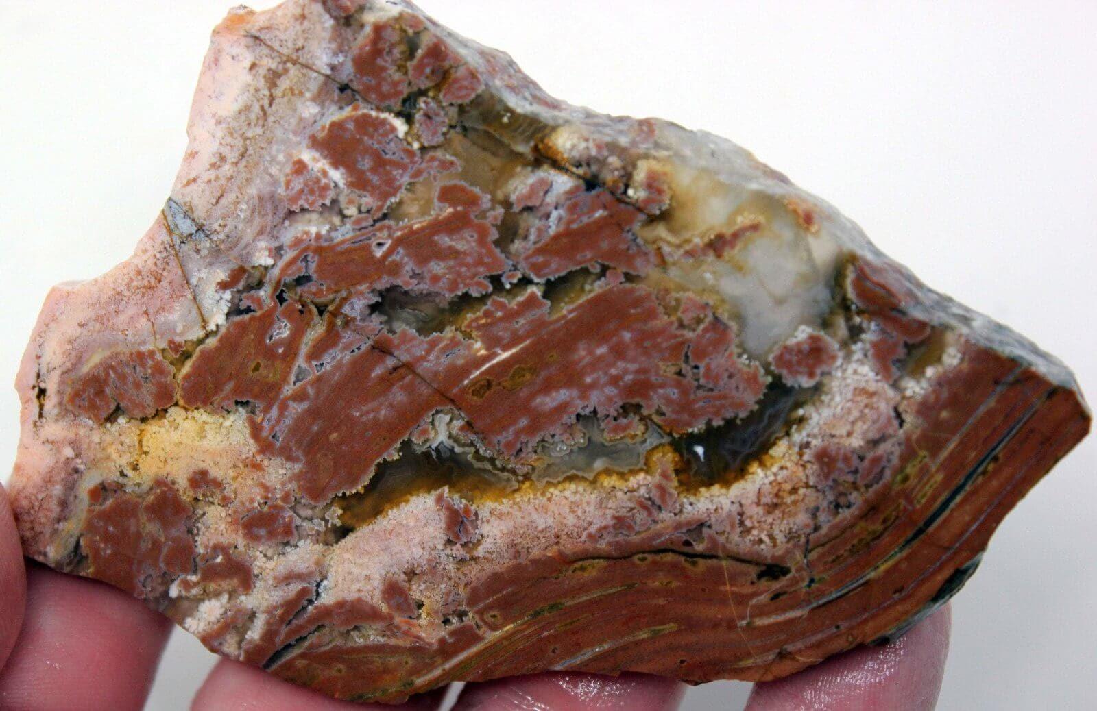 Eagle Rock Plume Agate Slab! Rare Lapidary Stone Slab!