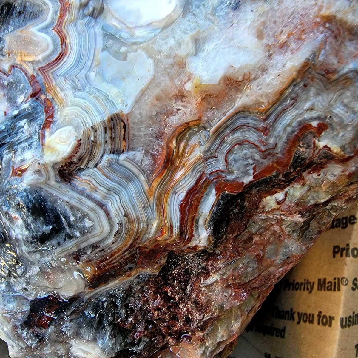 Laguna Lace Agate Highgrade Cutting Rough Flatrate!
