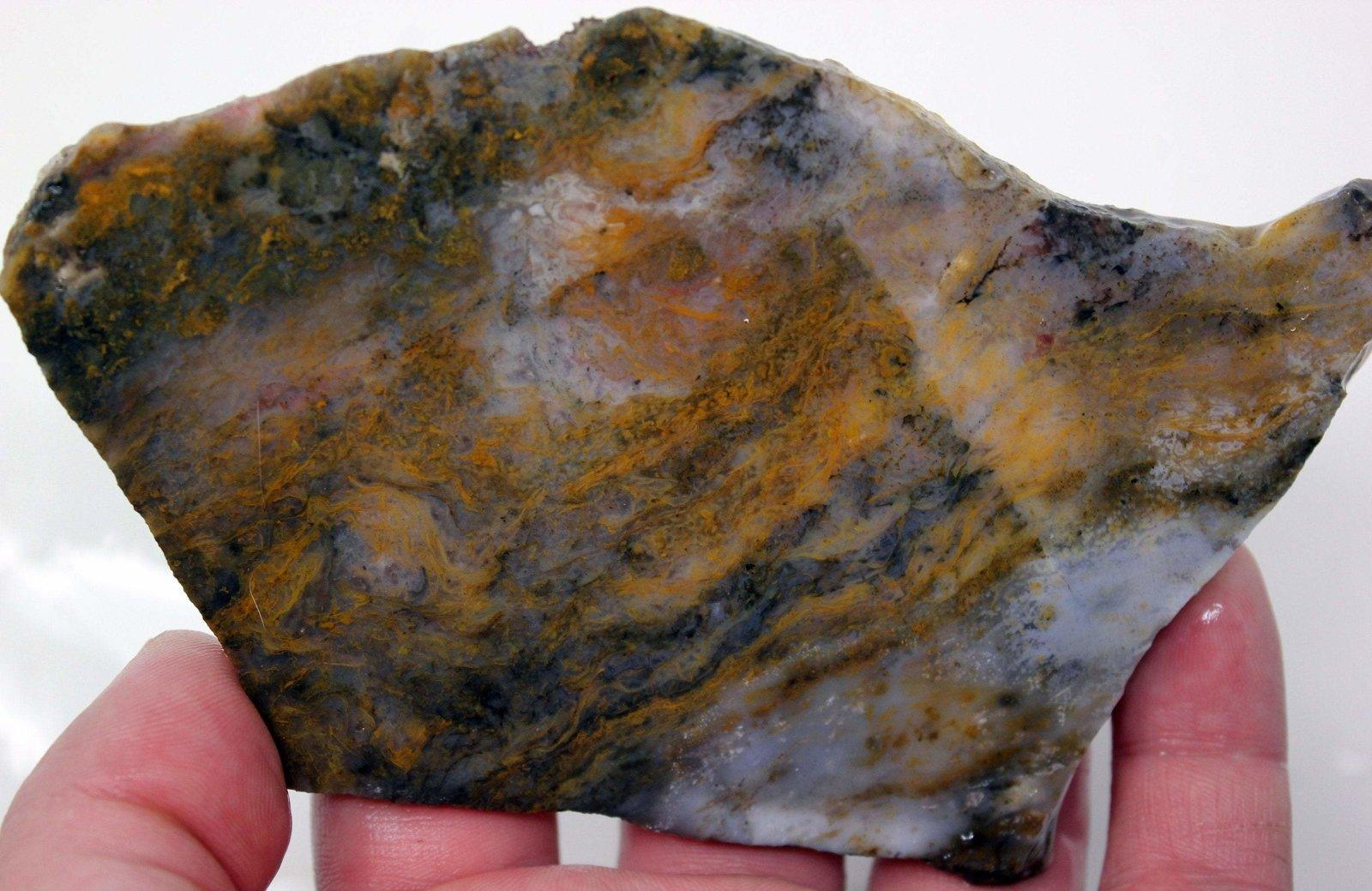 Ochoco Sunset Agate Slab! Oregon Yellow Moss Agate! - LapidaryCentral