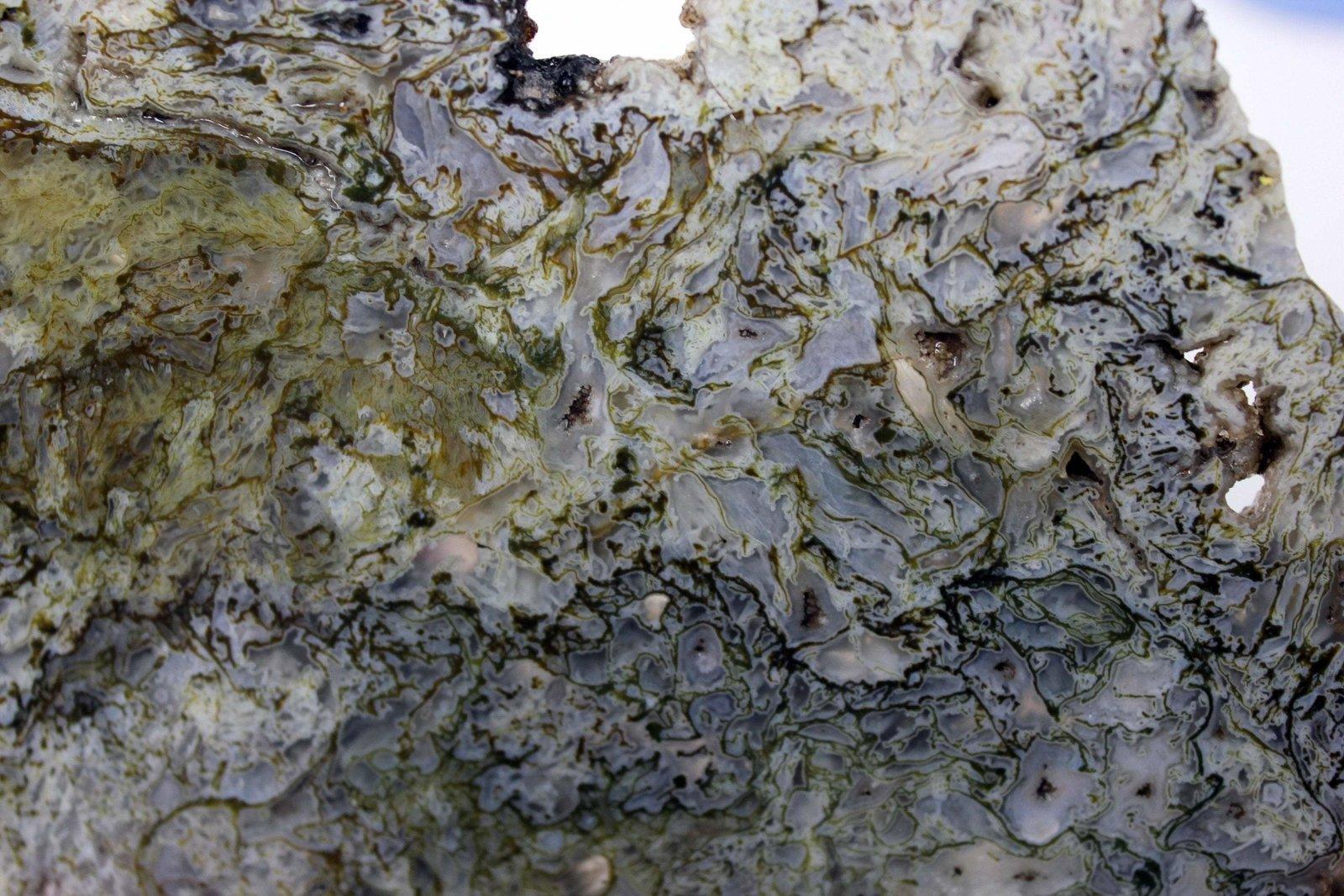 Rare old stock ochoco green moss agate slab! lapidary stone slab! - LapidaryCentral