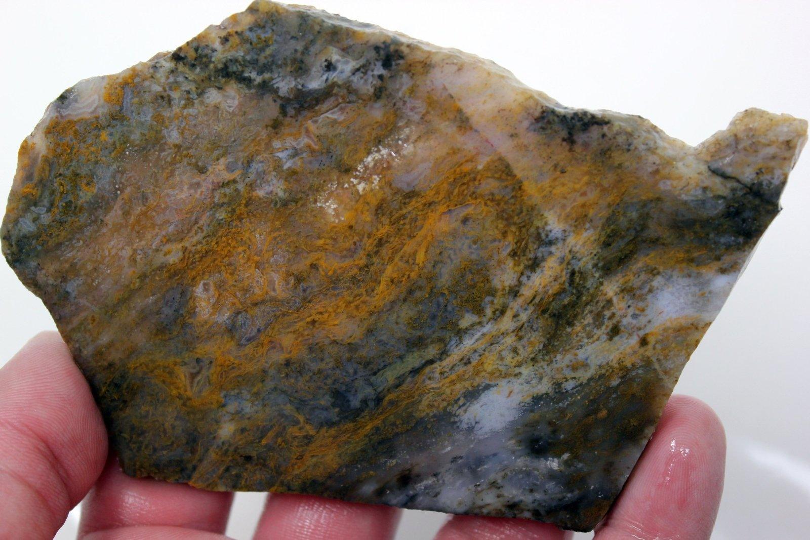 Ochoco Sunset Agate Slab! Oregon Yellow Moss Agate! - LapidaryCentral