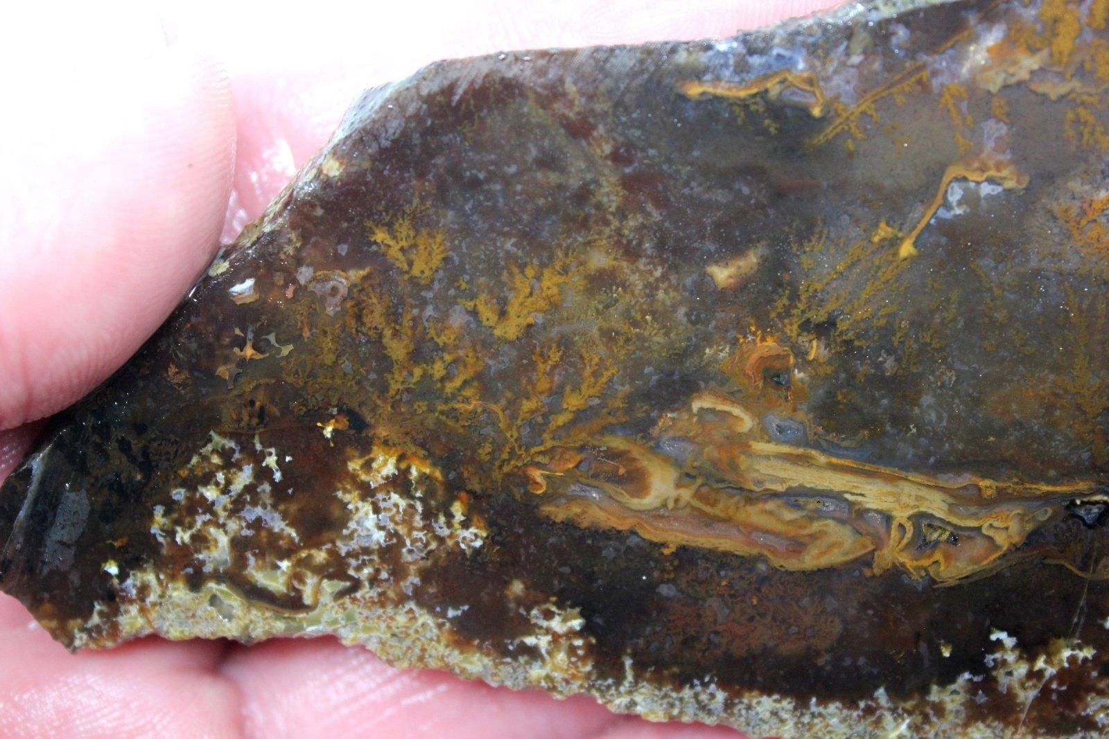 NEW MATERIAL! Oregon Plume Agate Slab! Lapidary Stone Slab! - LapidaryCentral