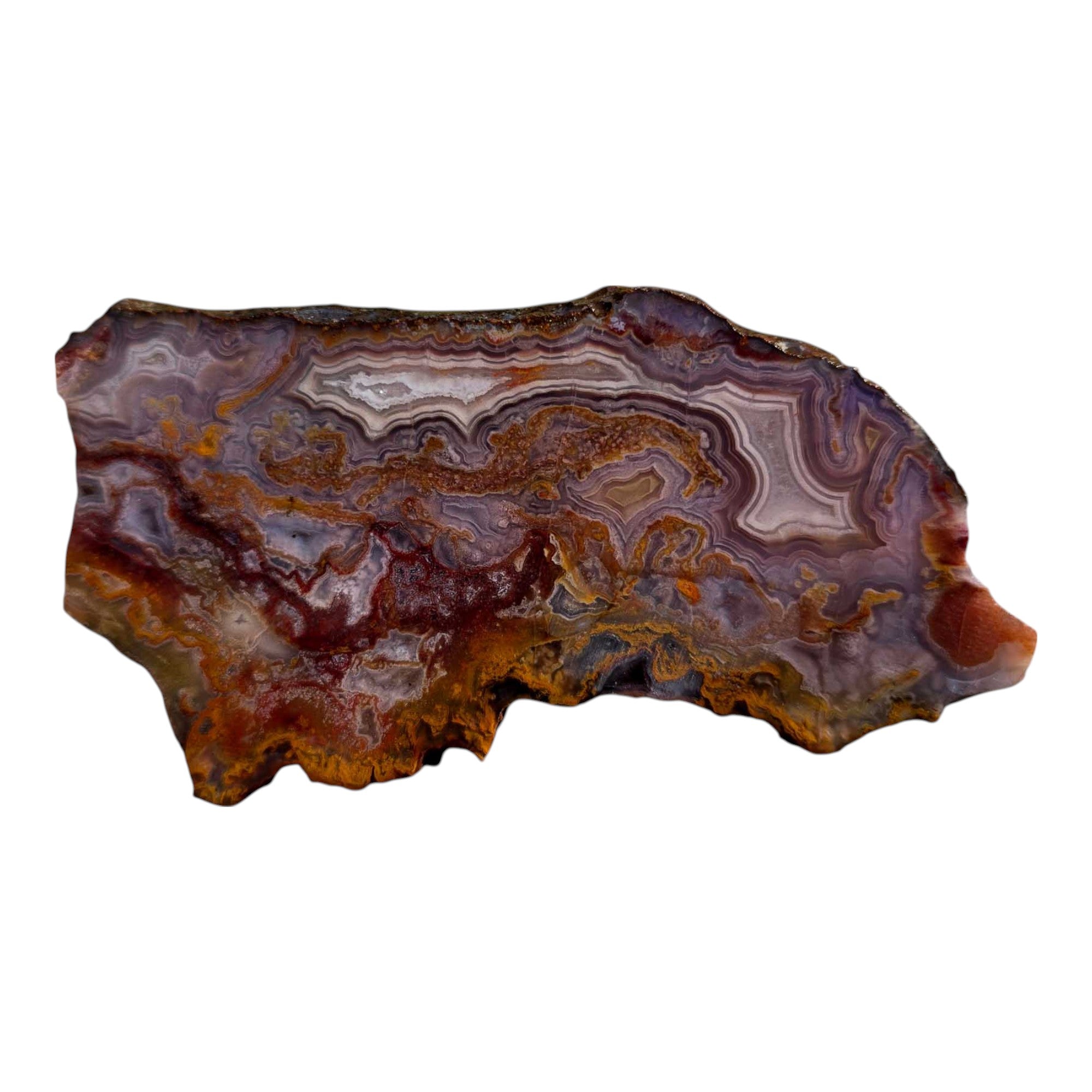 Agua Nueva Agate – Blue Fortification with Moss for Lapidary or Display