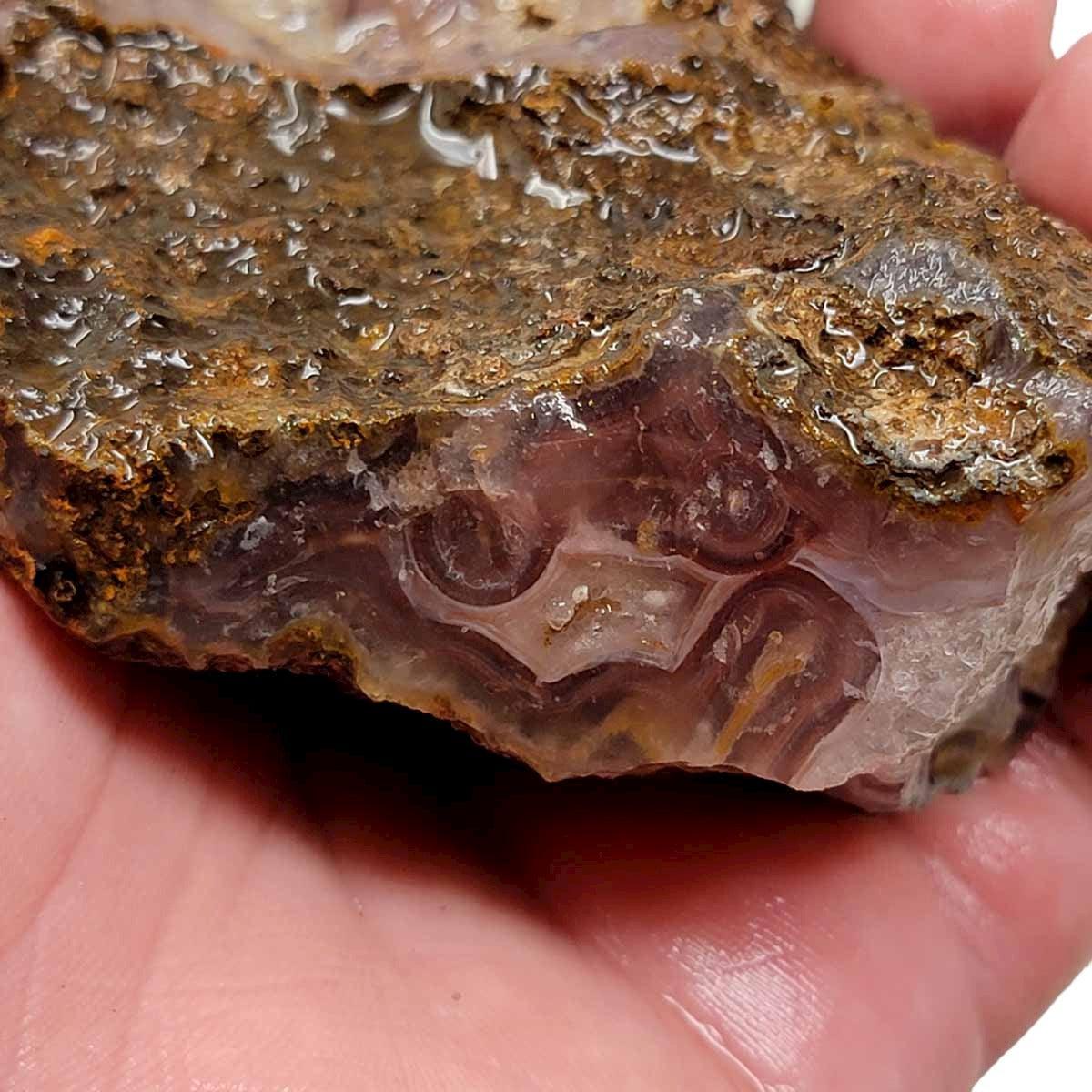 Agua Nueva Agate New Water Agate Rough Chunk! - LapidaryCentral