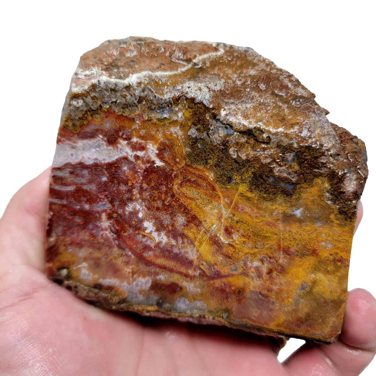 Agua Nueva Agate New Water Agate Rough Chunk! - LapidaryCentral