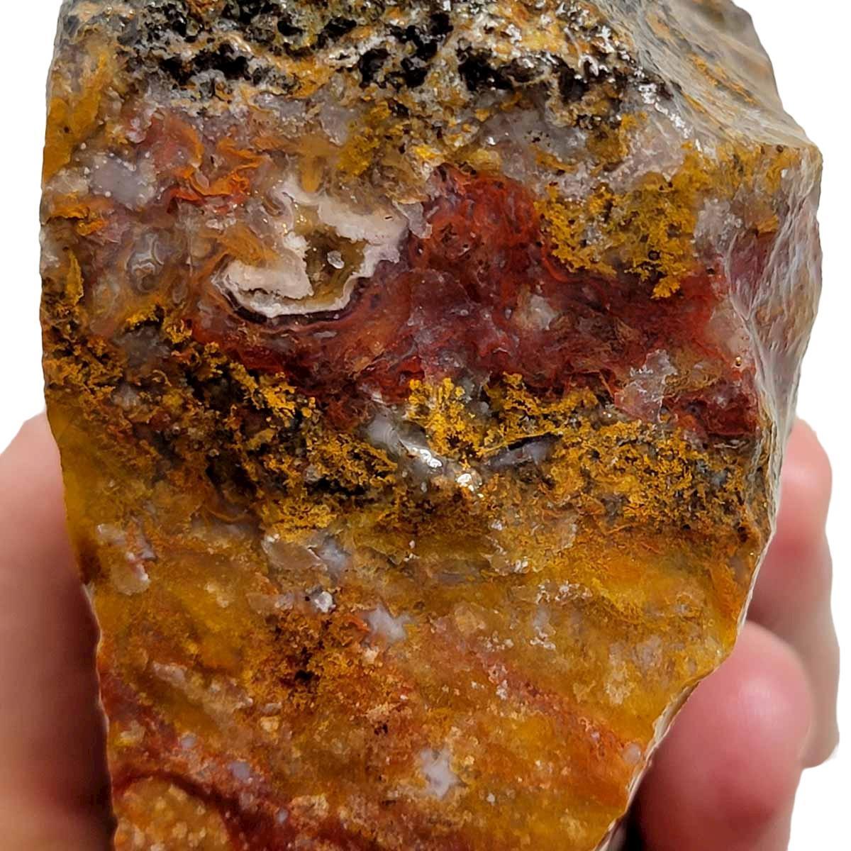 Agua Nueva Agate New Water Agate Rough Chunk! - LapidaryCentral