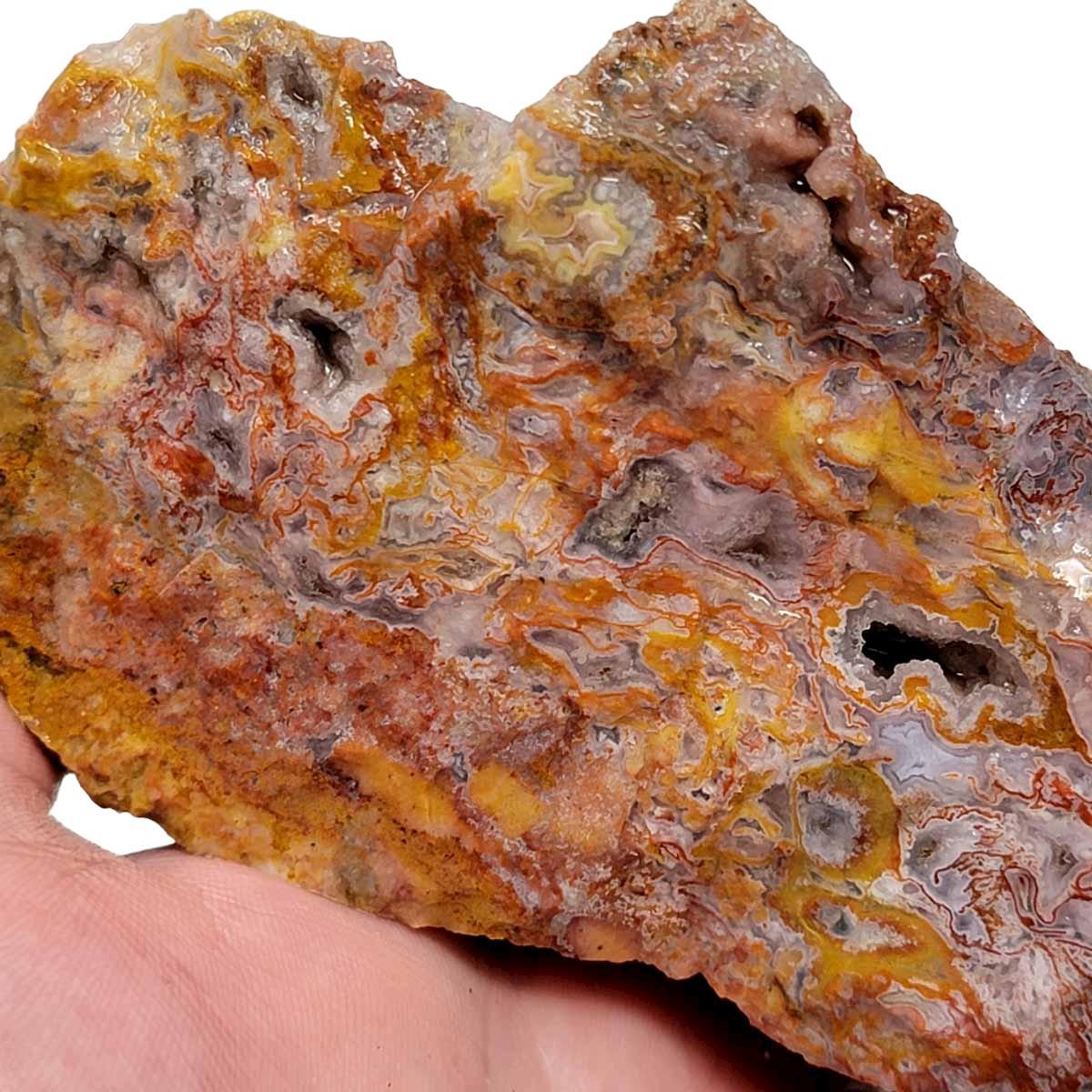 Agua Nueva Agate New Water Agate Rough Chunk! - LapidaryCentral