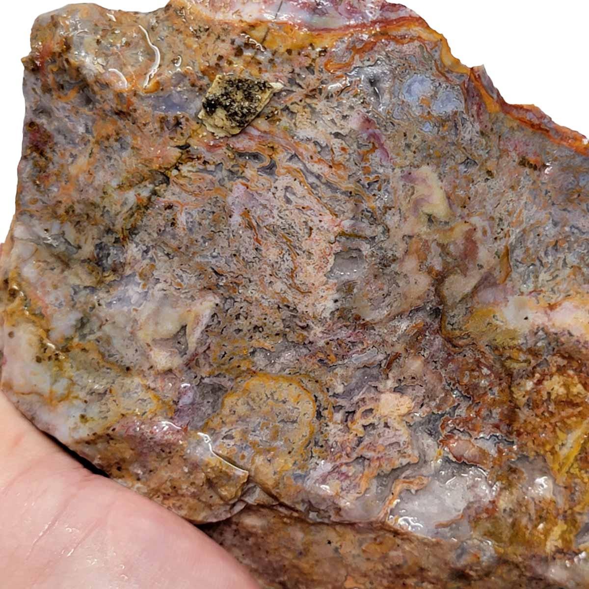 Agua Nueva Agate New Water Agate Rough Chunk! - LapidaryCentral