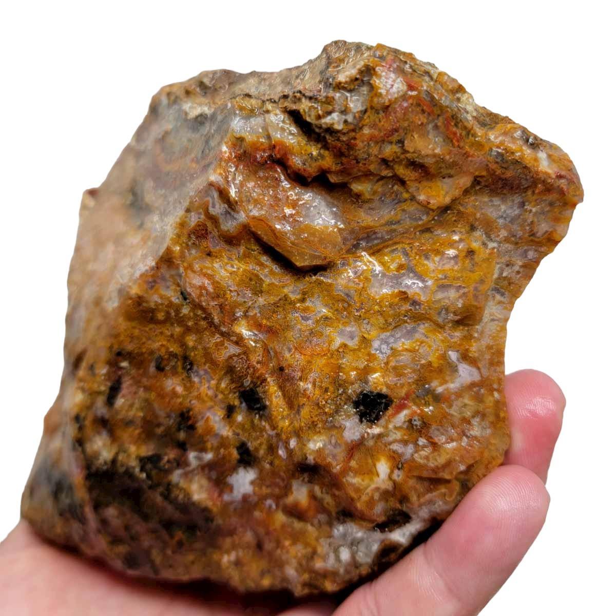 Agua Nueva Agate New Water Agate Rough Chunk! - LapidaryCentral