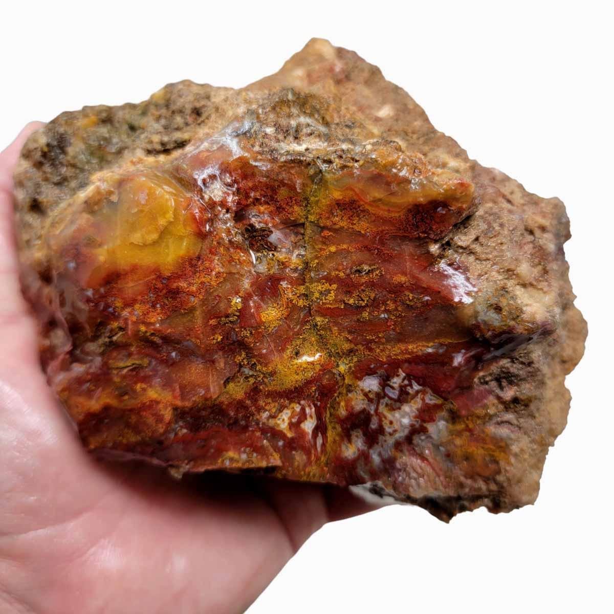 Agua Nueva Agate New Water Agate Rough Chunk! - LapidaryCentral