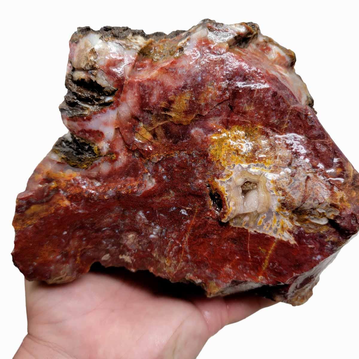 Agua Nueva Agate New Water Agate Rough Chunk! - LapidaryCentral