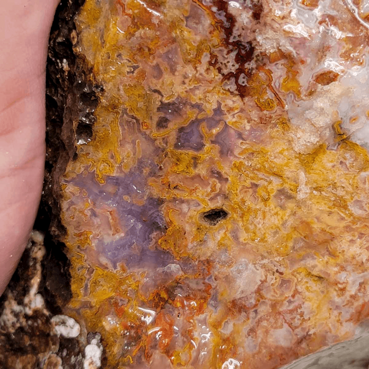 Agua Nueva Agate New Water Agate Rough Chunk! - LapidaryCentral