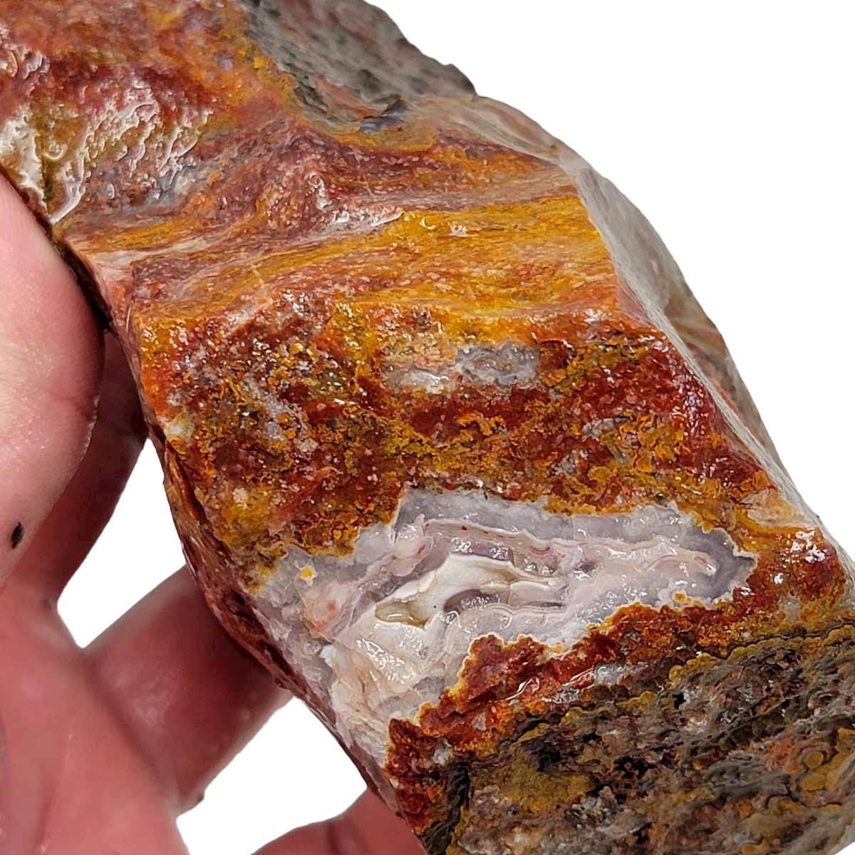 Agua Nueva Agate New Water Agate Rough Chunk! - LapidaryCentral