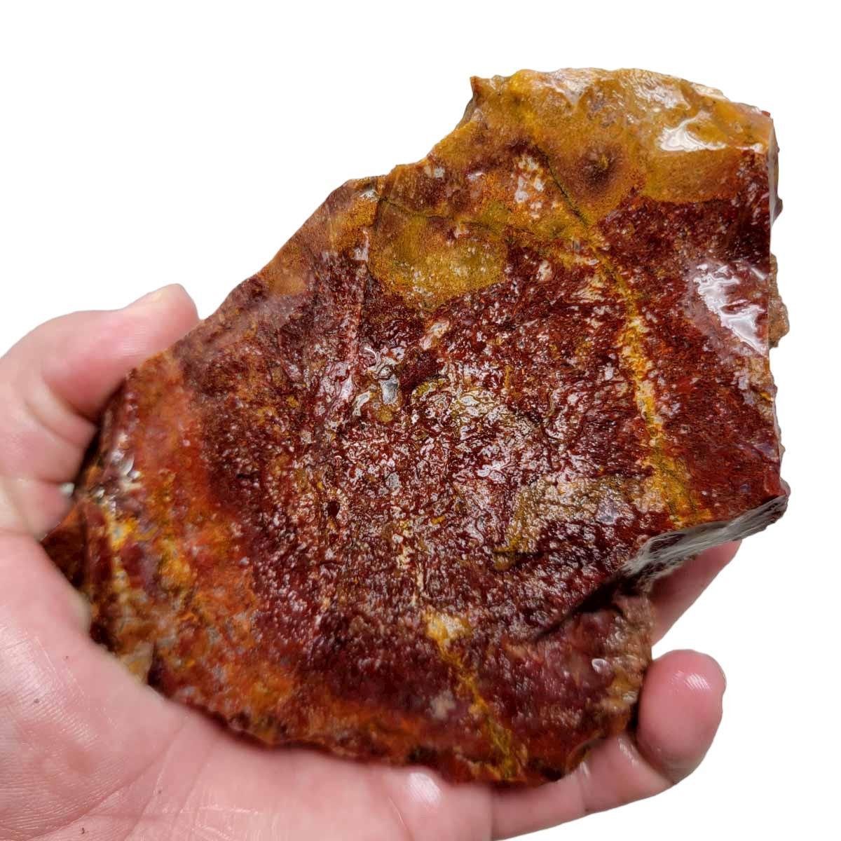 Agua Nueva Agate New Water Agate Rough Chunk! - LapidaryCentral