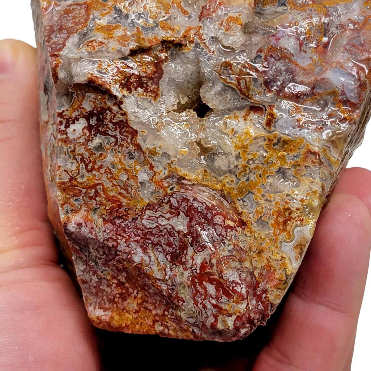 Agua Nueva Agate New Water Agate Rough Chunk! - LapidaryCentral