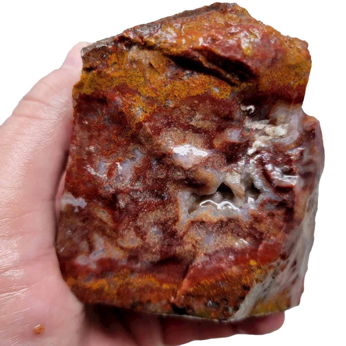 Agua Nueva Agate New Water Agate Rough Chunk! - LapidaryCentral