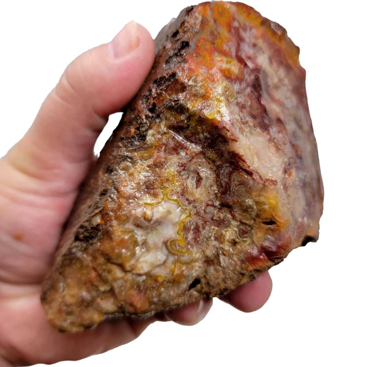 Agua Nueva Agate New Water Agate Rough Chunk! - LapidaryCentral