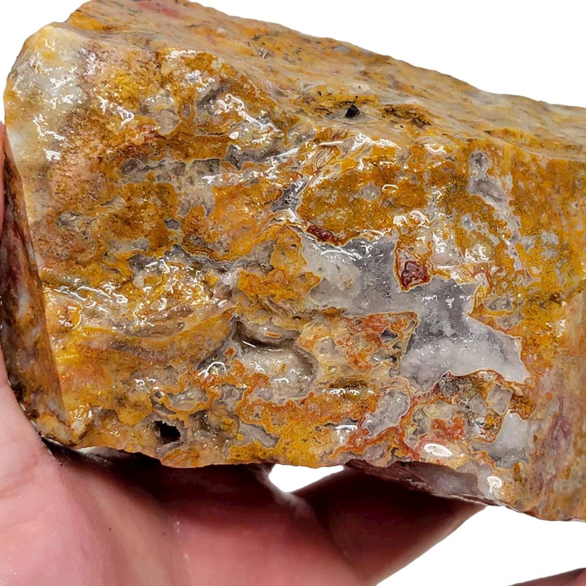 Agua Nueva Agate New Water Agate Rough Chunk! - LapidaryCentral