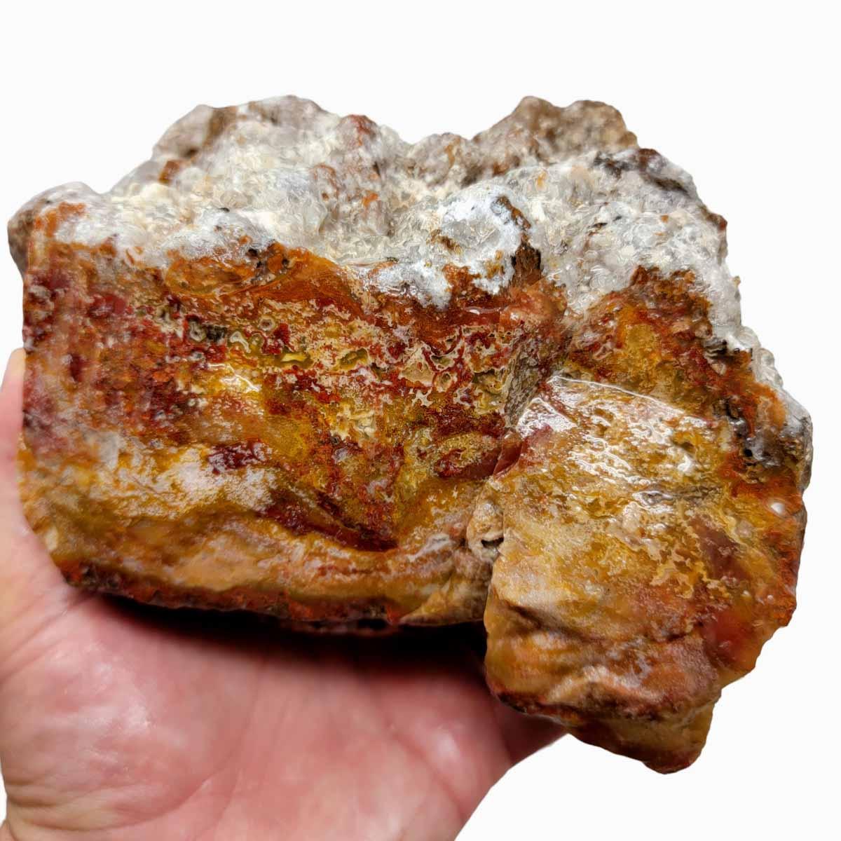 Agua Nueva Agate New Water Agate Rough Chunk! - LapidaryCentral