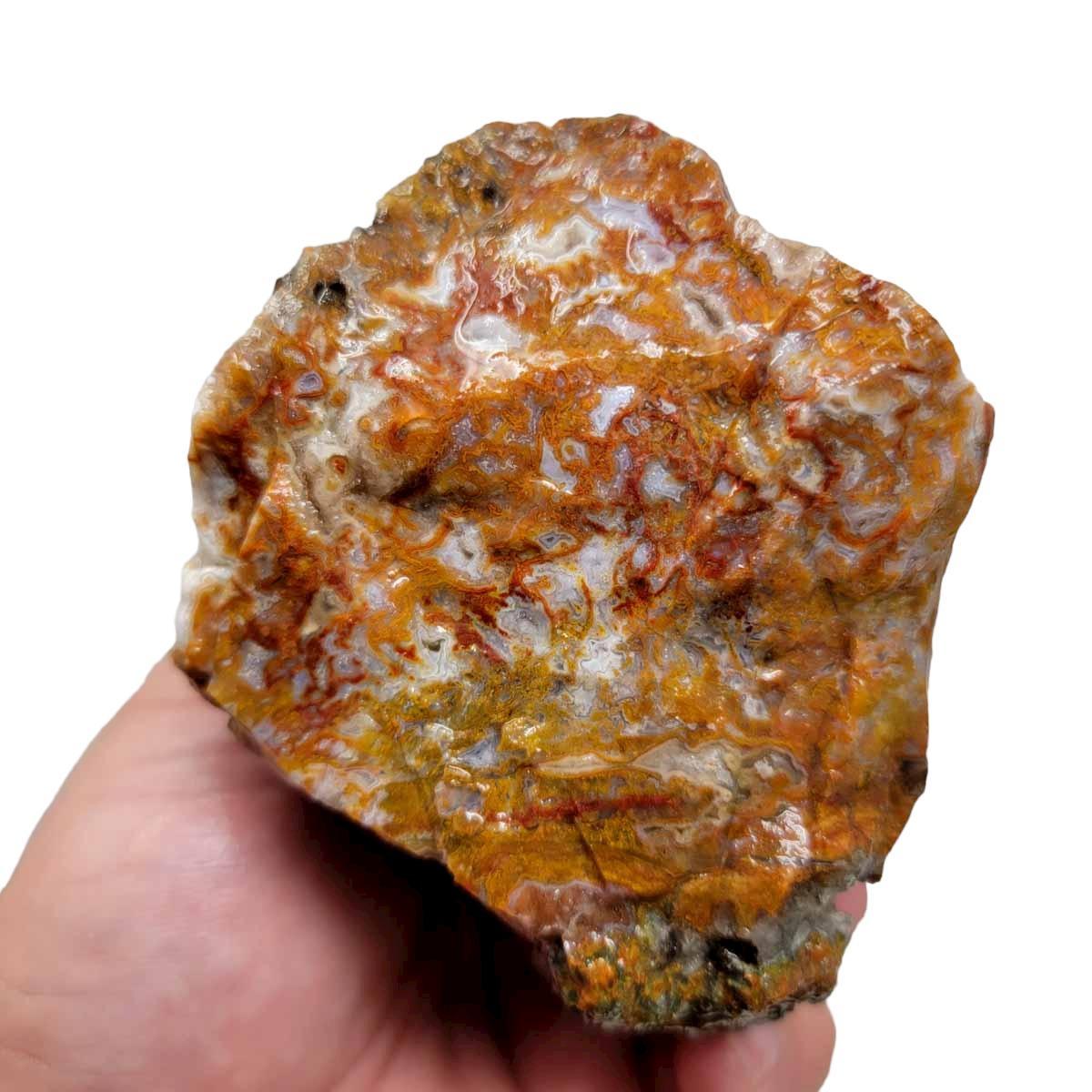 Agua Nueva Agate New Water Agate Rough Chunk! - LapidaryCentral