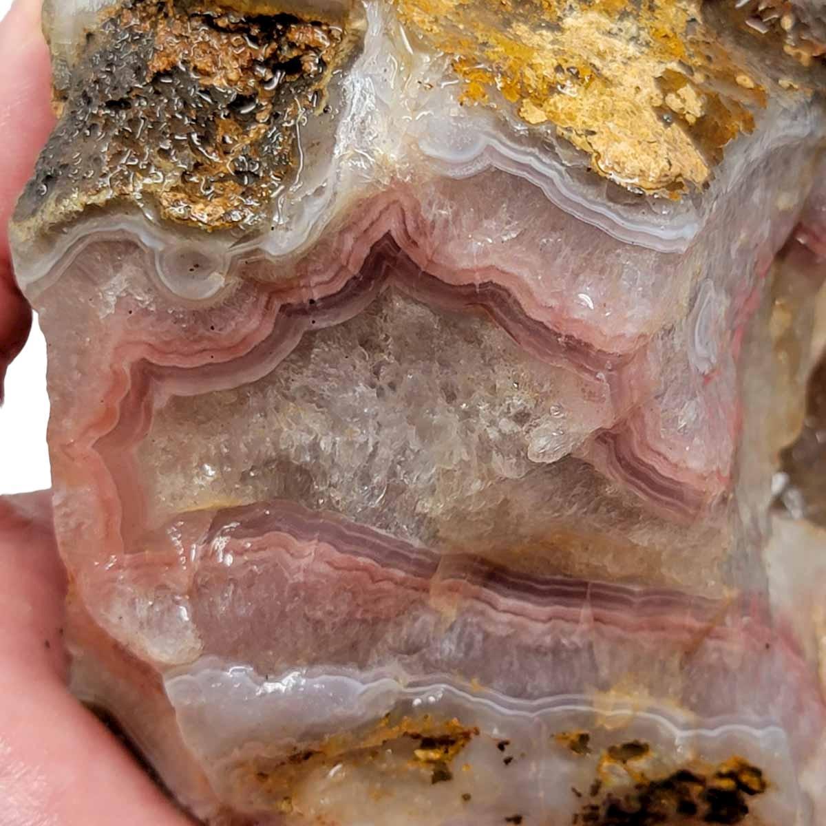 Agua Nueva Agate New Water Agate Rough Chunk! - LapidaryCentral