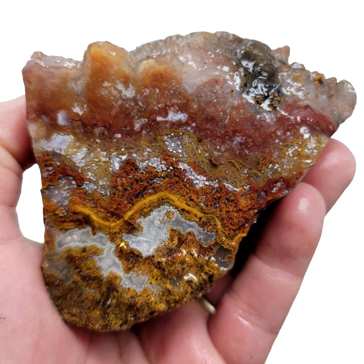 Agua Nueva Agate New Water Agate Rough Chunk! - LapidaryCentral