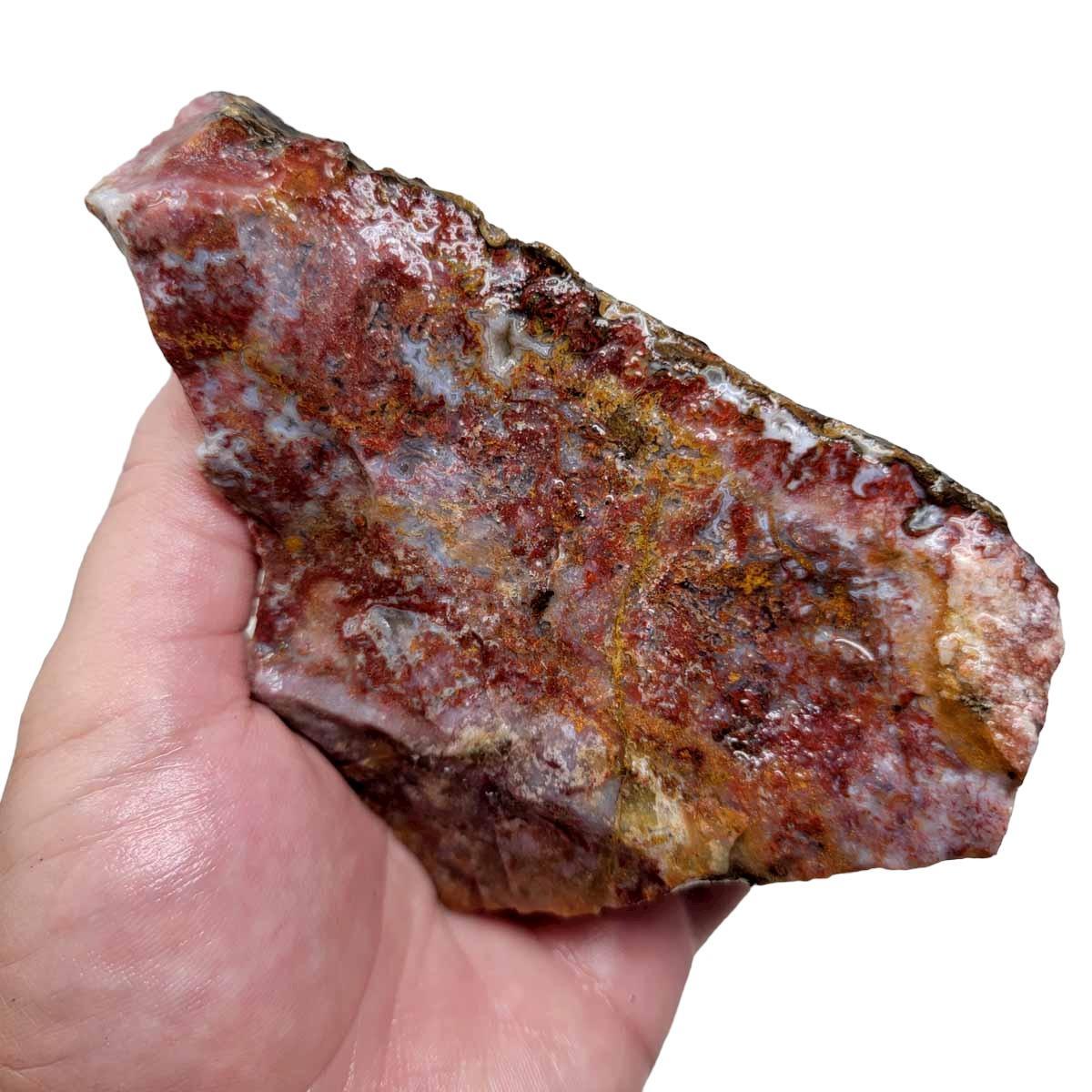 Agua Nueva Agate New Water Agate Rough Chunk! - LapidaryCentral