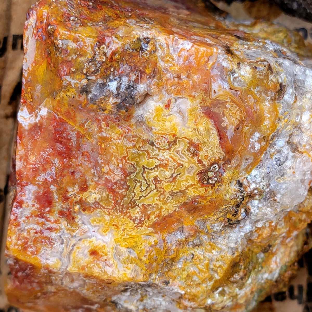 Agua Nueva Cutting Rough Flatrate! - LapidaryCentral