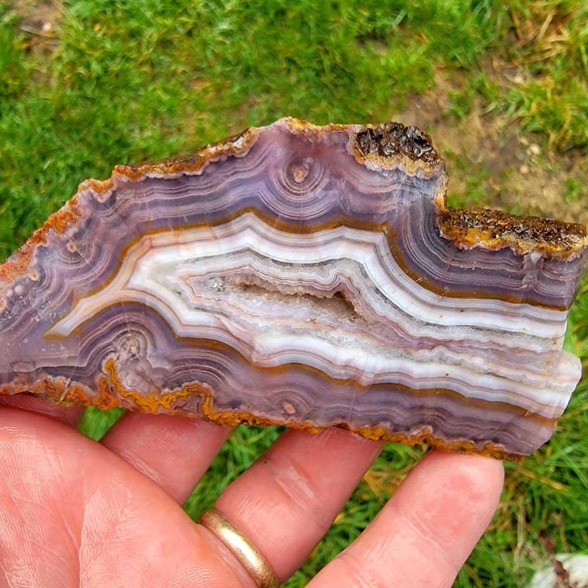 One Lbs Random Pull Mexican Agua Nueva Agate Rough! - LapidaryCentral