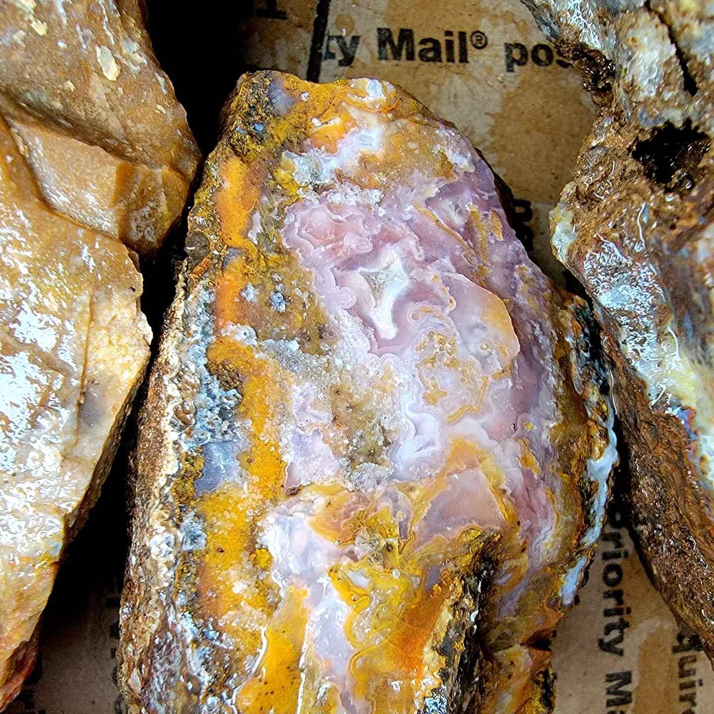 Mystery Moss Agate Possibly Agua Nueva Agate! - LapidaryCentral