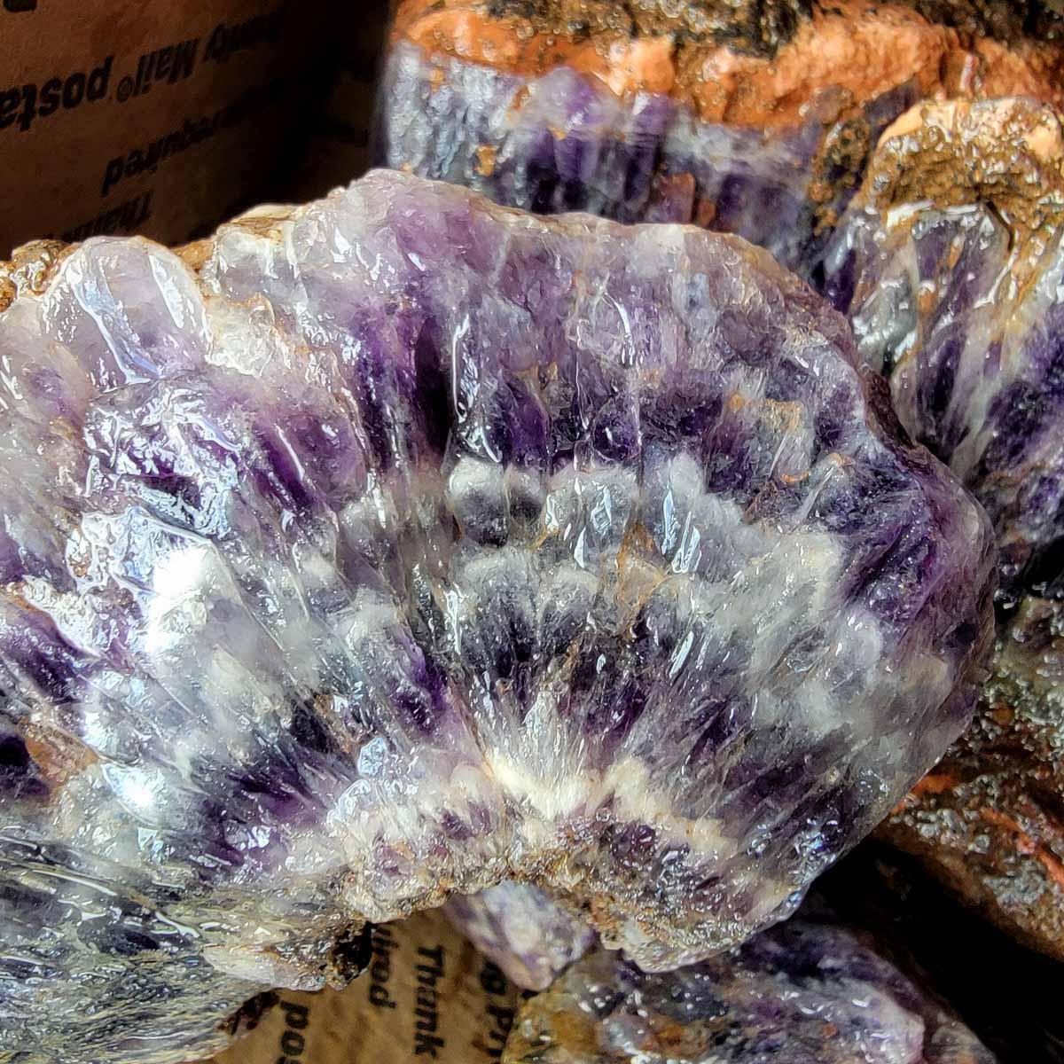Moroccan Amethyst Lace Cutting Rough Flatrate! - LapidaryCentral