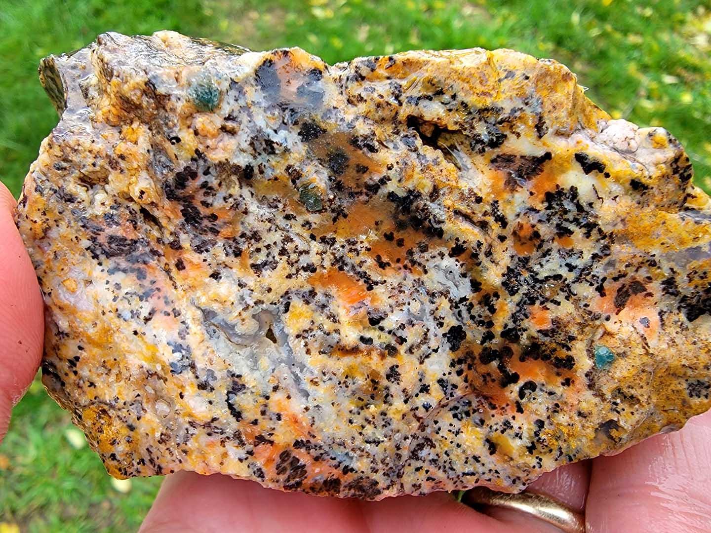 One Pound Random Pull RARE Brazilian Cheetah Agate Stone Rough! - LapidaryCentral