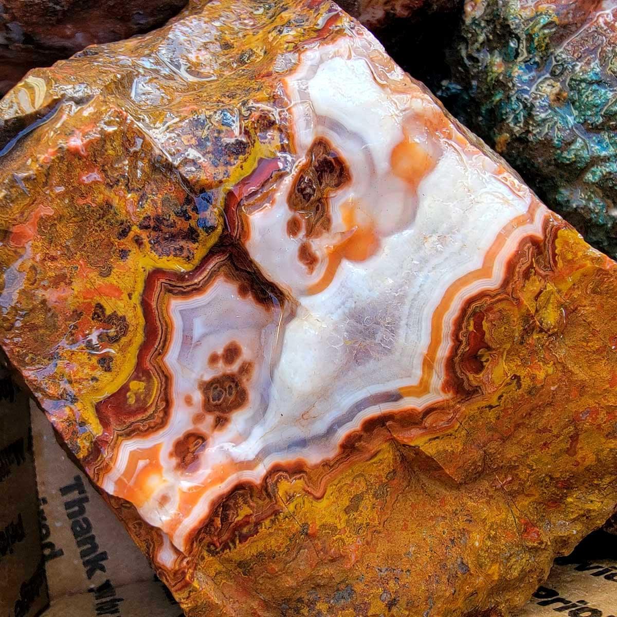 Apple Valley Agate Cutting Rough Flatrate! - LapidaryCentral