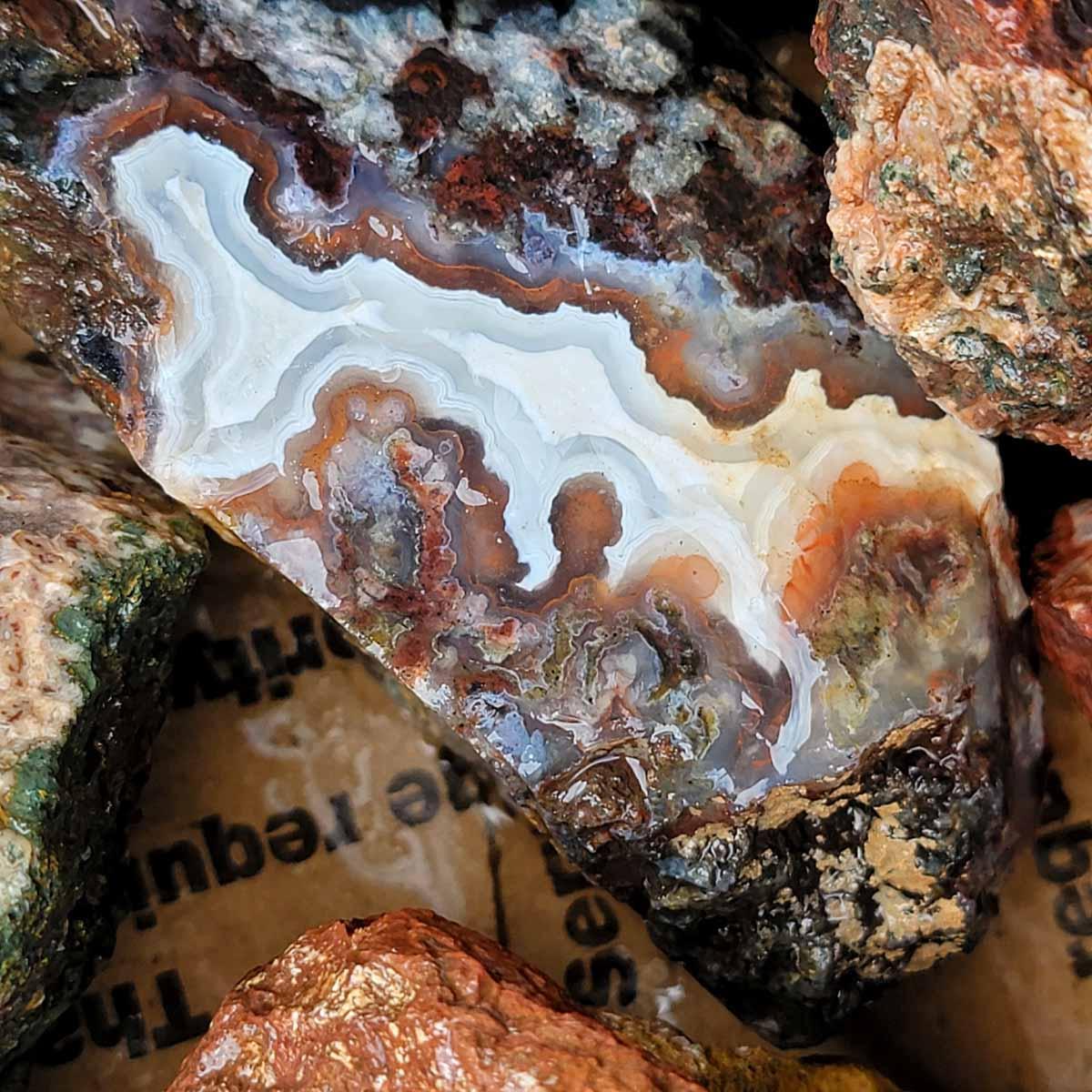 Apple Valley Agate Cutting Rough Flatrate! - LapidaryCentral