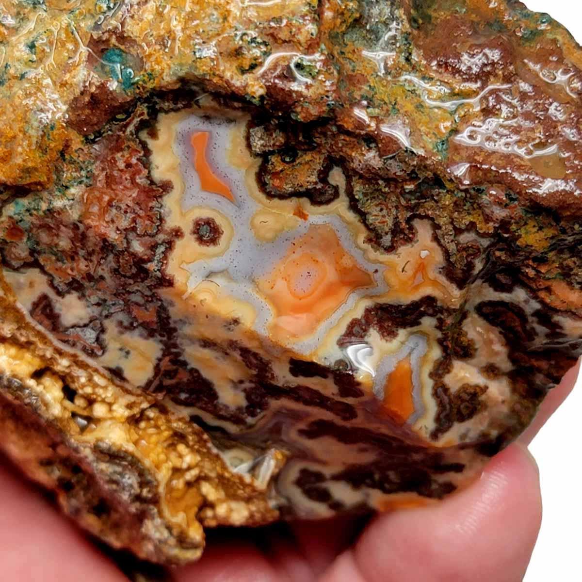 Apple Valley Agate Rough Chunk! - LapidaryCentral