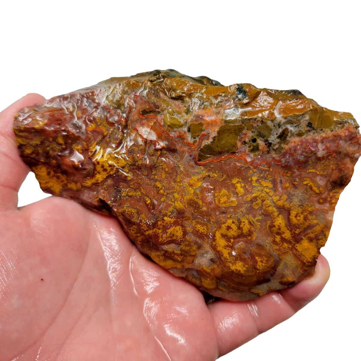 Apple Valley Agate Rough Chunk! - LapidaryCentral
