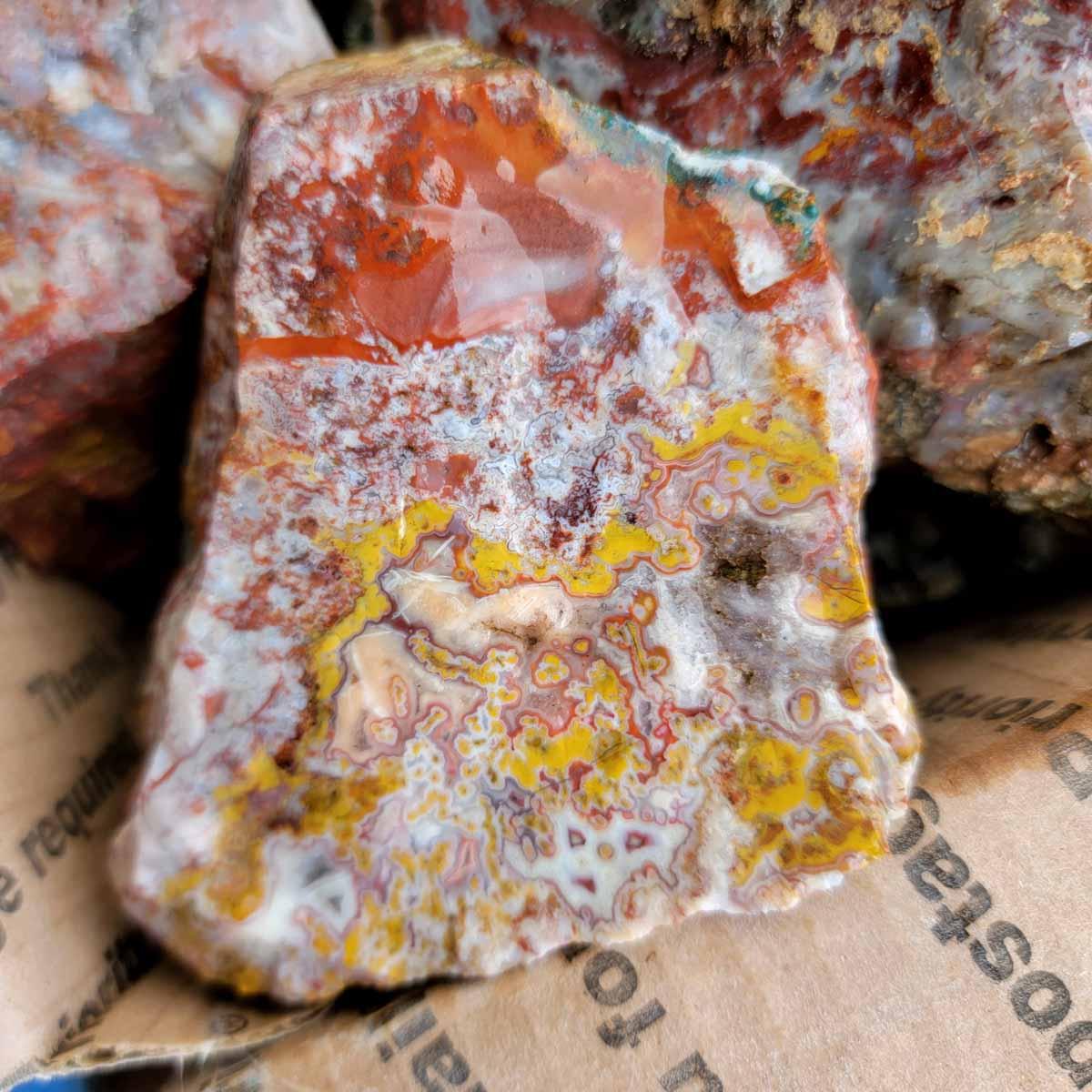 Apple Valley Agate Cutting Rough Flatrate! - Lapidary Central