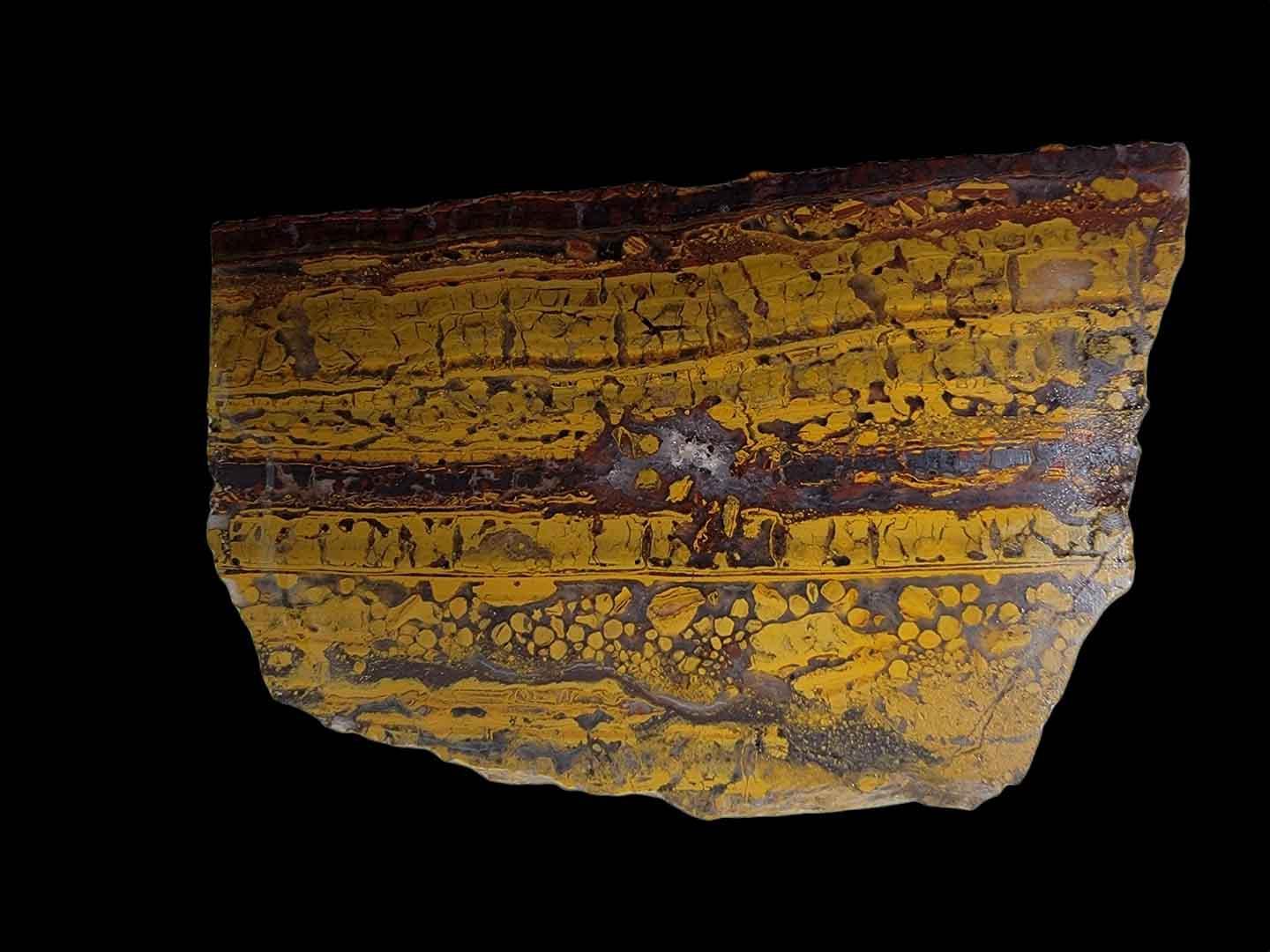 Apple Valley Jasper Stromatolite Slab!  Lapidary Stone Slab! - LapidaryCentral