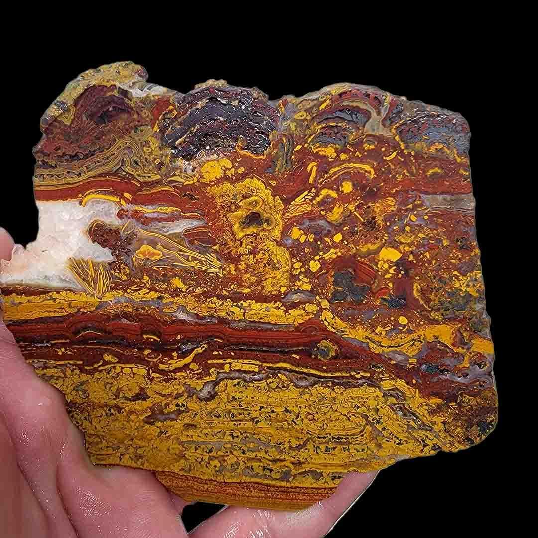 Apple Valley Jasper Slab! Fossil Stromatolite Slab! - LapidaryCentral