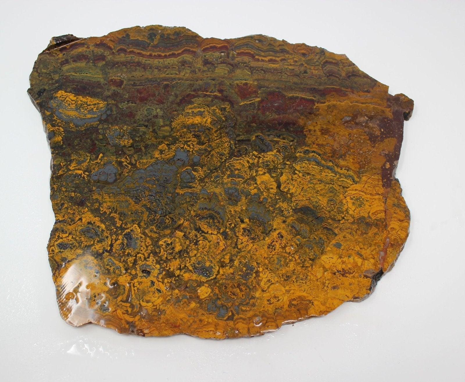 Huge apple valley jasper stromatolite flowers slab!