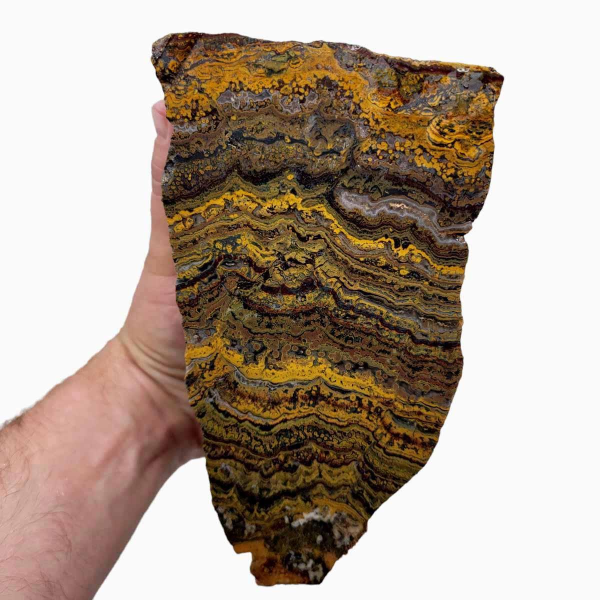 High Grade Cut and Proven Apple Valley Jasper Cutting Rough Chunk!