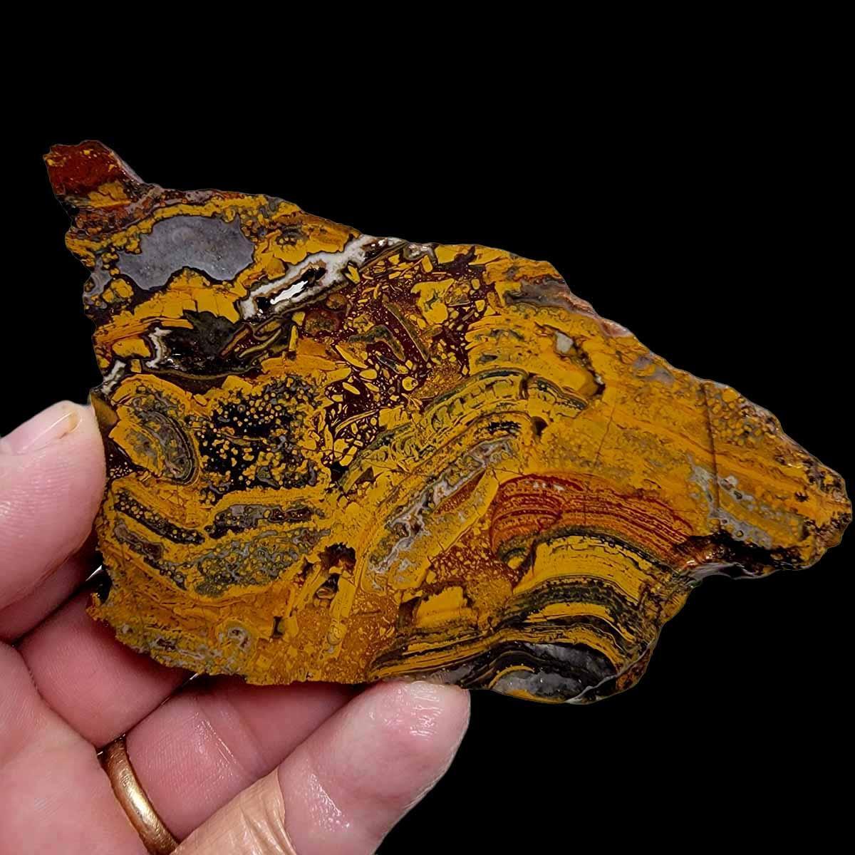 Apple Valley Jasper Slab! Fossil Stromatolite Slab! - LapidaryCentral