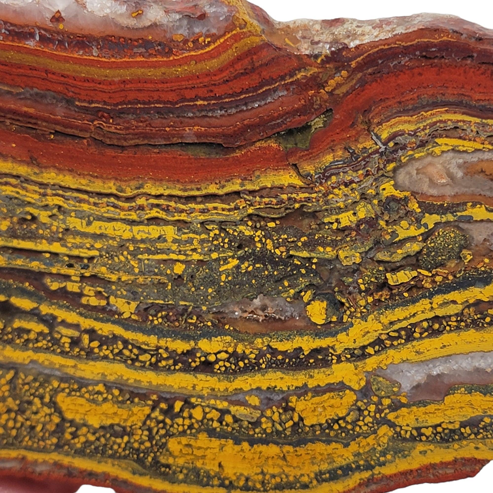 Apple Valley Jasper Slab! Fossil Stromatolite Slab! - LapidaryCentral