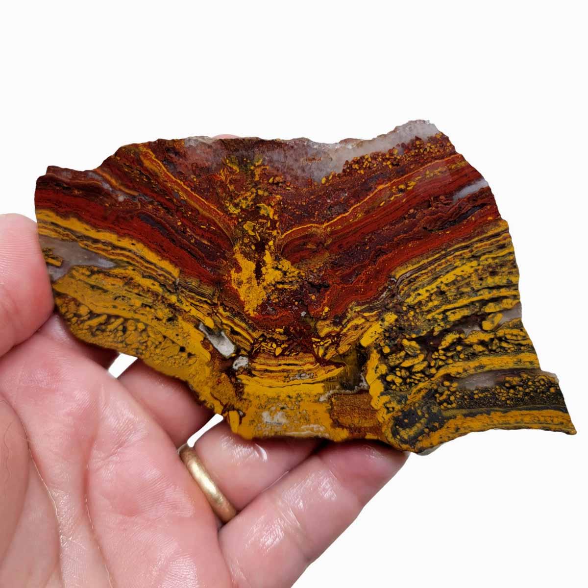 Apple Valley Jasper Slab! Fossil Stromatolite Slab! - LapidaryCentral
