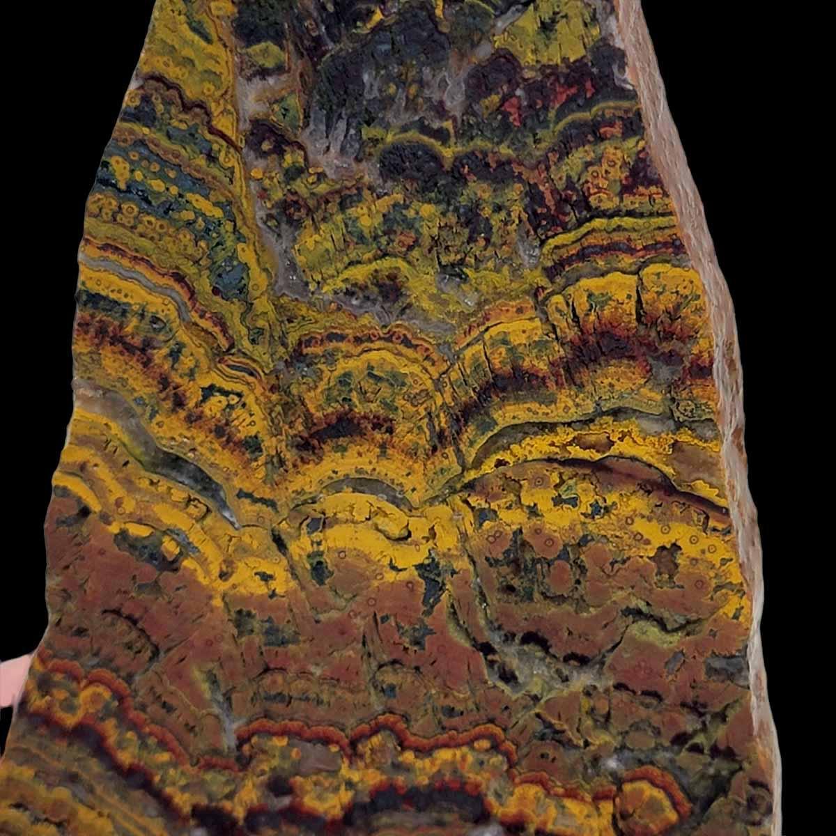 Apple Valley Jasper Slab! Fossil Stromatolite Slab! - LapidaryCentral